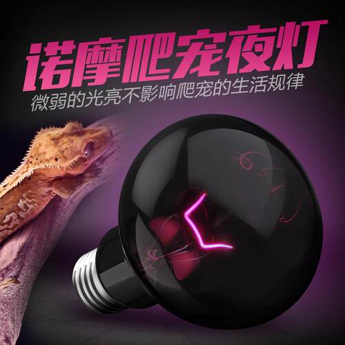 爬虫饲养箱陆龟蜥蜴仿月光夜灯夜晚爬宠加热灯泡宠物加温保温灯