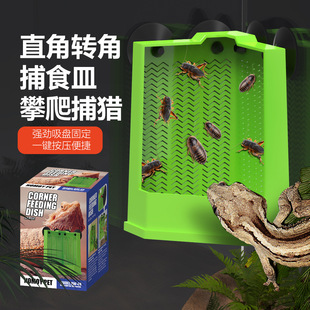 爬宠虫防逃喂食盆鬃狮睫角守宫角蛙杜比亚蟋蟀活体自助捕食喂食器
