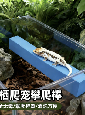 树栖爬宠R属睫角守宫EVA攀爬棒盖勾亚树蛙海绵造景仿木爬棒可切割