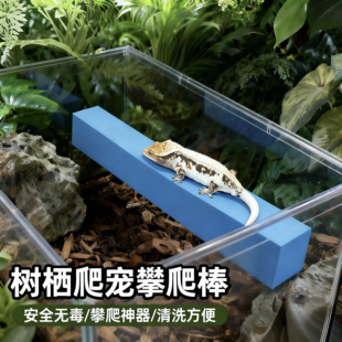 树栖爬宠R属睫角守宫EVA攀爬棒盖勾亚树蛙海绵造景仿木爬棒可切割