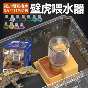 爬宠守宫鬃狮蜥蜴陆龟角蛙饲养盒水盆自动饮水器喂水盆自动蓄水盘