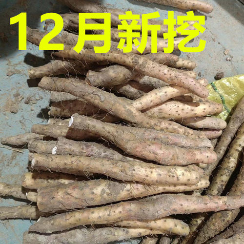 正宗河南温县垆土铁棍怀山药