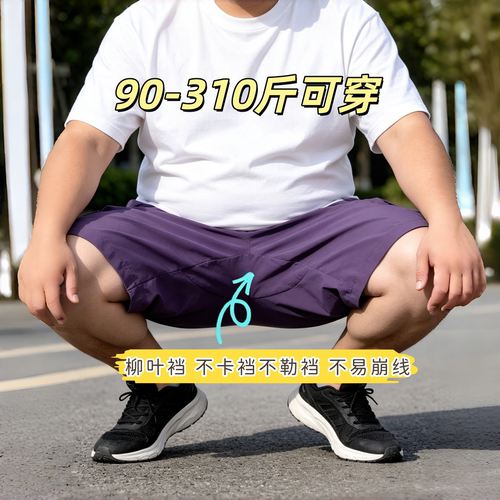 防爆柳叶裆胖子大码短裤男夏季