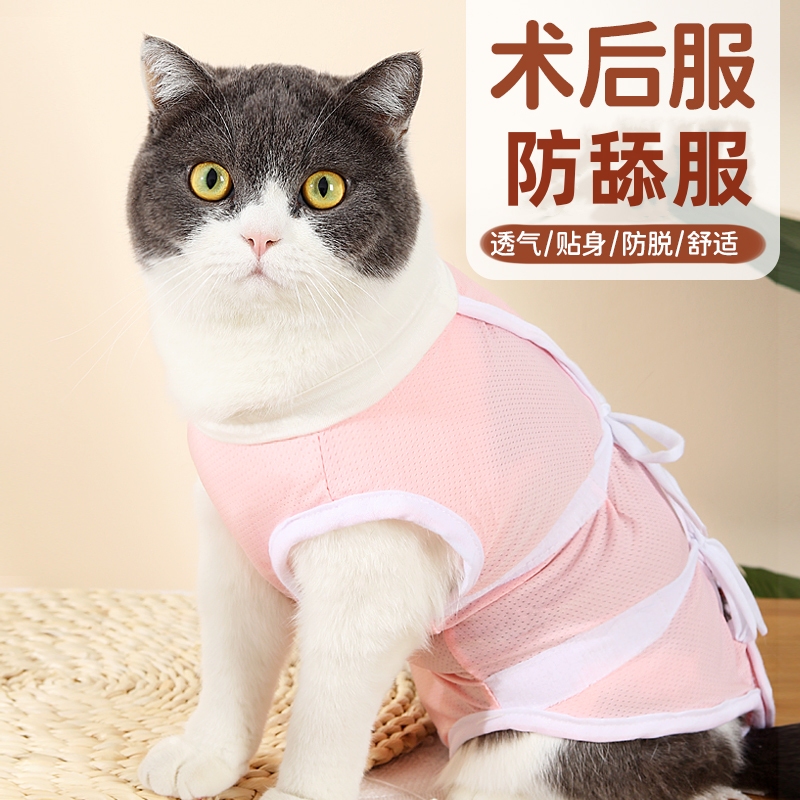 猫咪绝育手术服伤口防舔防护衣服