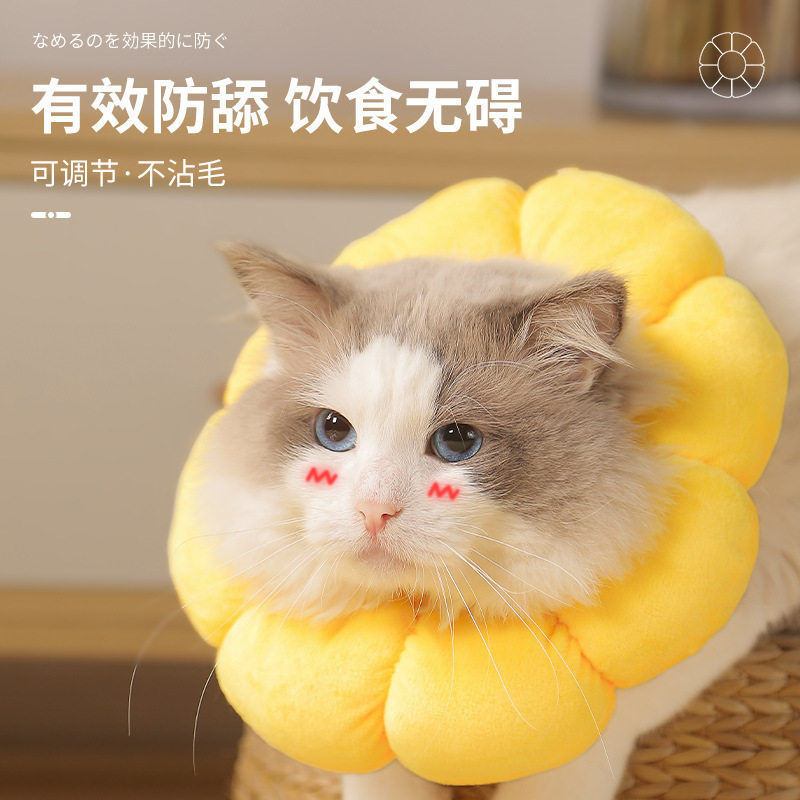 猫咪伊丽莎白圈宠物太阳花防舔防咬项圈绝育驱虫可调节透气脖头套,宠物/宠物食品及用品,宠物伊丽莎白圈,淘宝优惠券,粉丝福利购,淘宝优惠卷