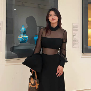 性感辣妹上衣设计感显瘦半高领镂空纱衣 美式 黑色网纱打底衫 女长袖