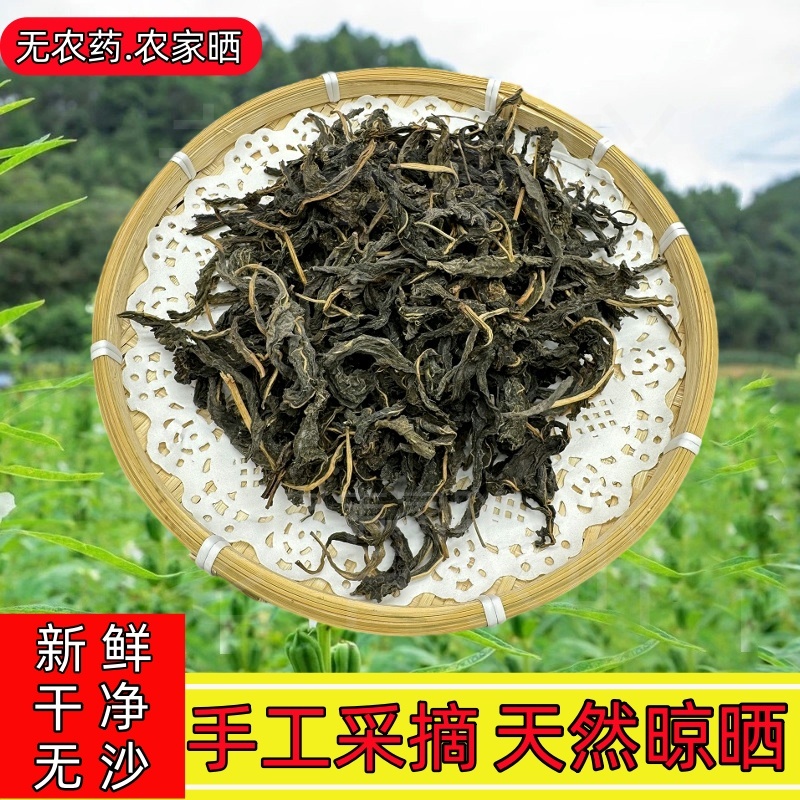 农家晾晒芝麻叶脱水干菜