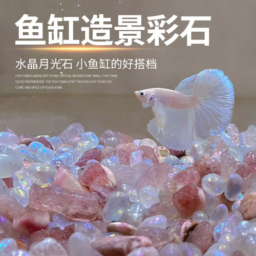 鱼缸造景月光石水晶石观赏鱼