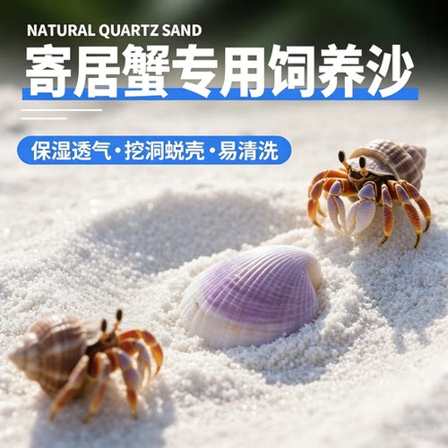 菲律宾沙珊瑚沙寄居蟹专用沙