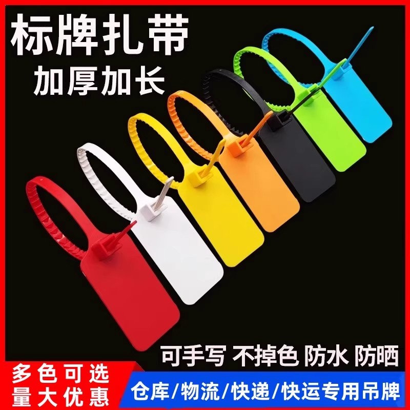 一次性塑料封条防盗扣物流吊牌