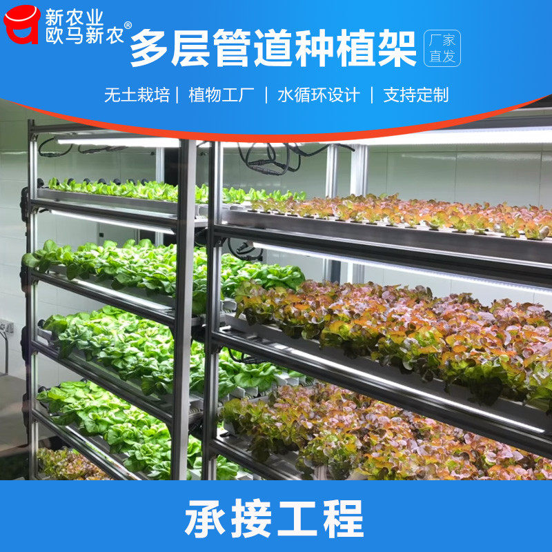 无土栽培设备植物工厂展示楼顶水培管道种叶菜瓜果草莓多层种植架 欧马新农 淘优券