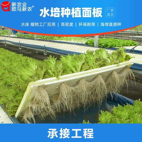 鱼菜共生价格 鱼菜共生图片 星期三