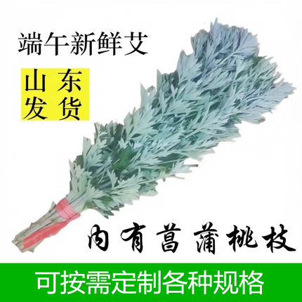 山东新鲜艾草端午艾叶手工diy疗愈毛线编织材料包