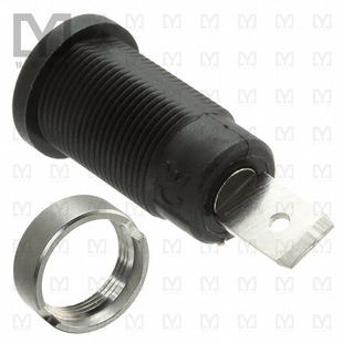 BANANA CONN BLACK JACK CT2238