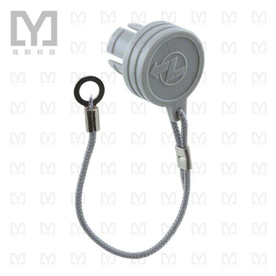 BRA.1B.200.PCSG【CONN BLANKING COVER GRAY】