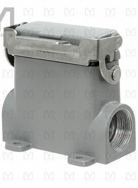 T1629101125-000【H10A-SDRMS-M25】