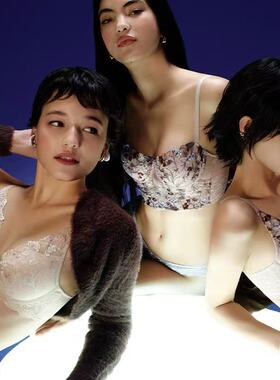 黛安文胸16R9013 11R1993深V加厚杯软钢圈蕾丝小胸聚拢三扣