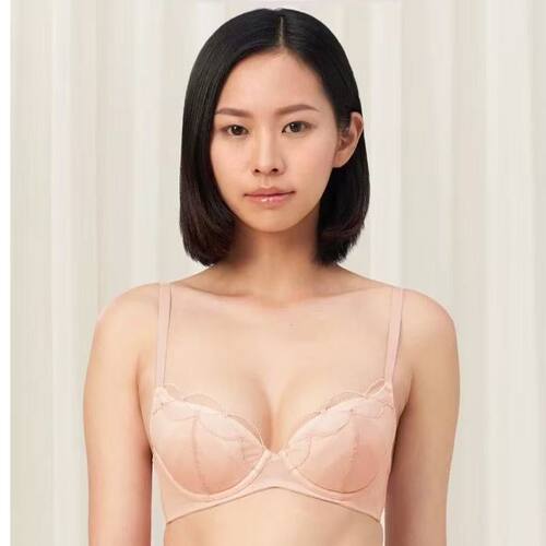 黛安专柜新款风格魅力内衣女聚拢性感蕾丝文胸16R8938内裤2411