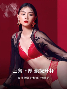 A12/黛家专柜新款无钢圈性感深V蕾丝呼吸泡棉杯小胸聚拢11-1951