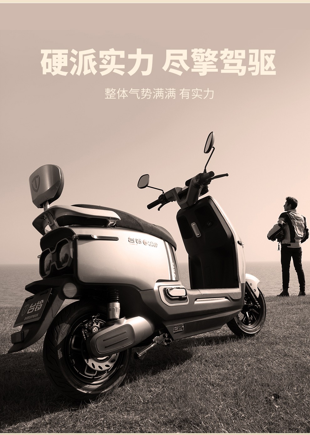 台铃电动原厂外壳烤漆件