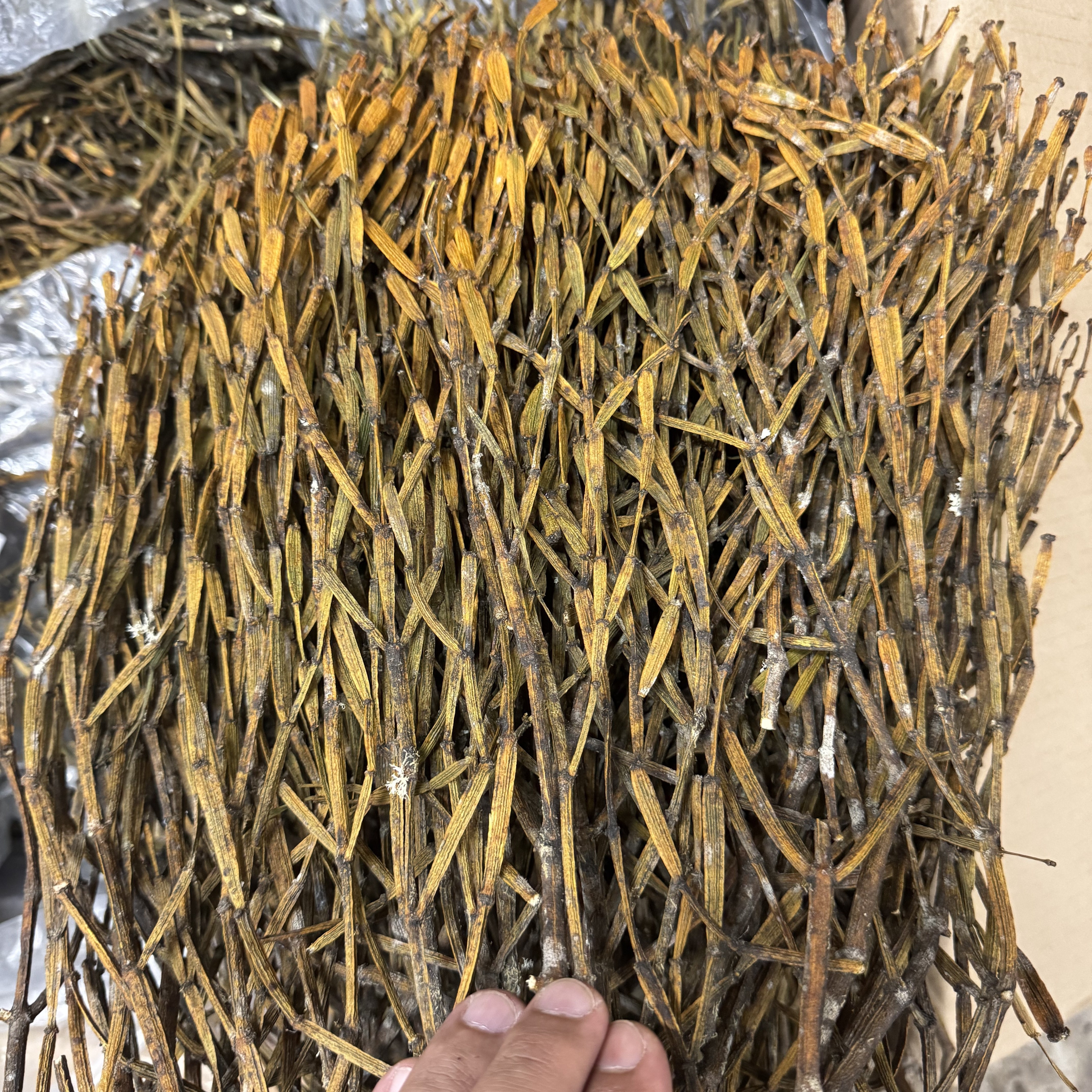 2022年哀牢山13年一采的螃蟹脚100g（配茶喝 炖汤 闷煮喝）