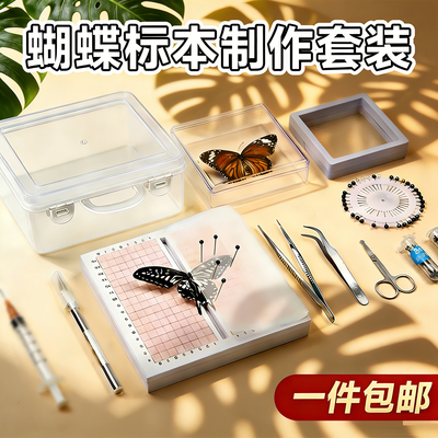 蝴蝶标本手工diy制作材料昆虫针展翅板昆虫标本盒子工具套装全套