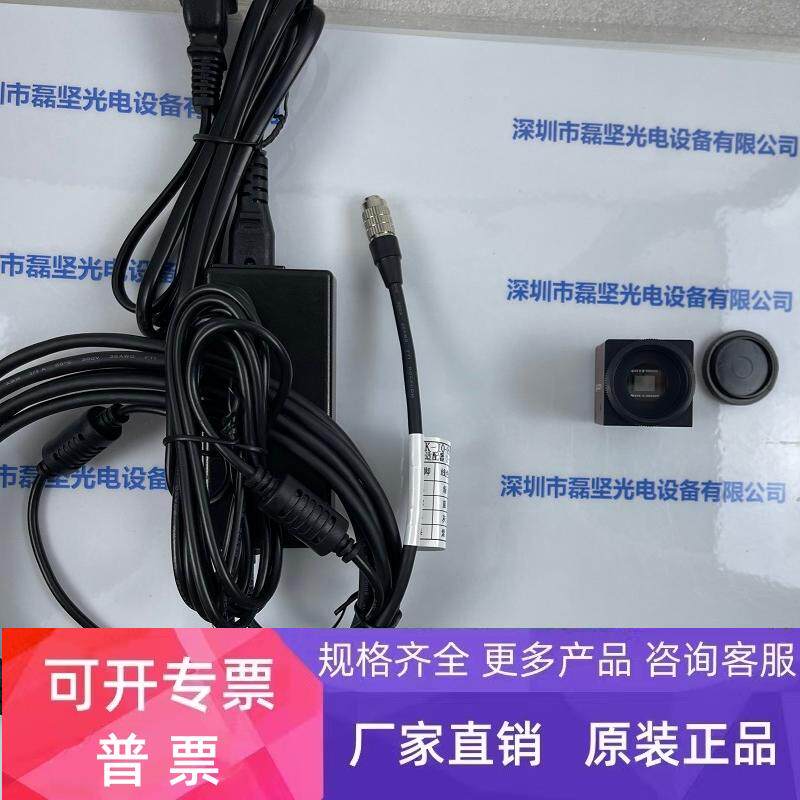 AVT瑷茘德ALLIEDGUPPY