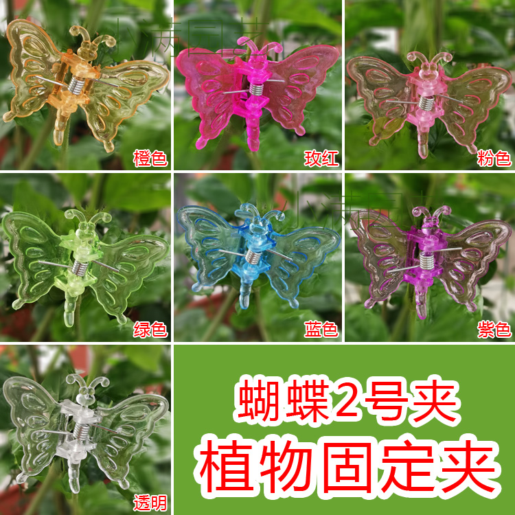 蝴蝶2号铁线莲夹子月季风车茉莉