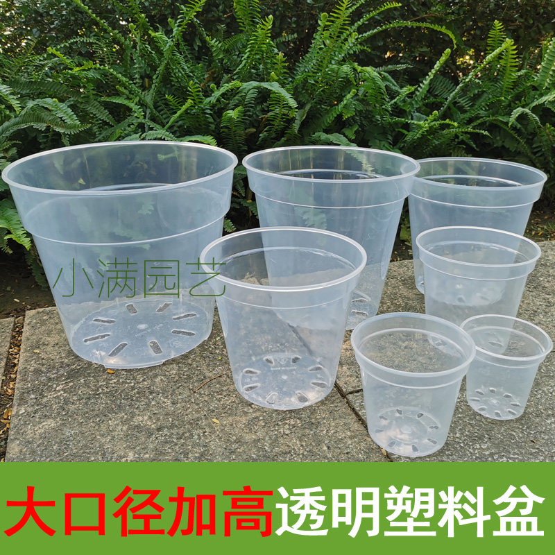 透明塑料专用花盆石斛蝴蝶兰月季
