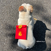 新款 可固定背包狗猫咪红包法斗雪纳瑞 宠物新年拜年斜挎大红包