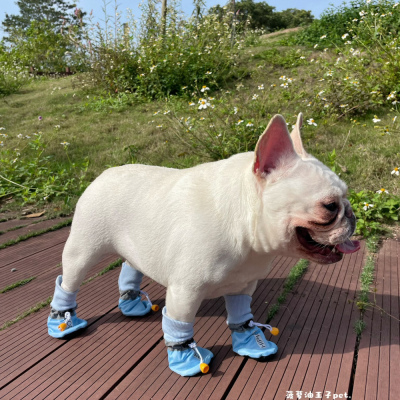 新款宠物防滑双层大狗鞋子收缩绳防掉鞋 外出遛弯防脏鞋 法斗金毛