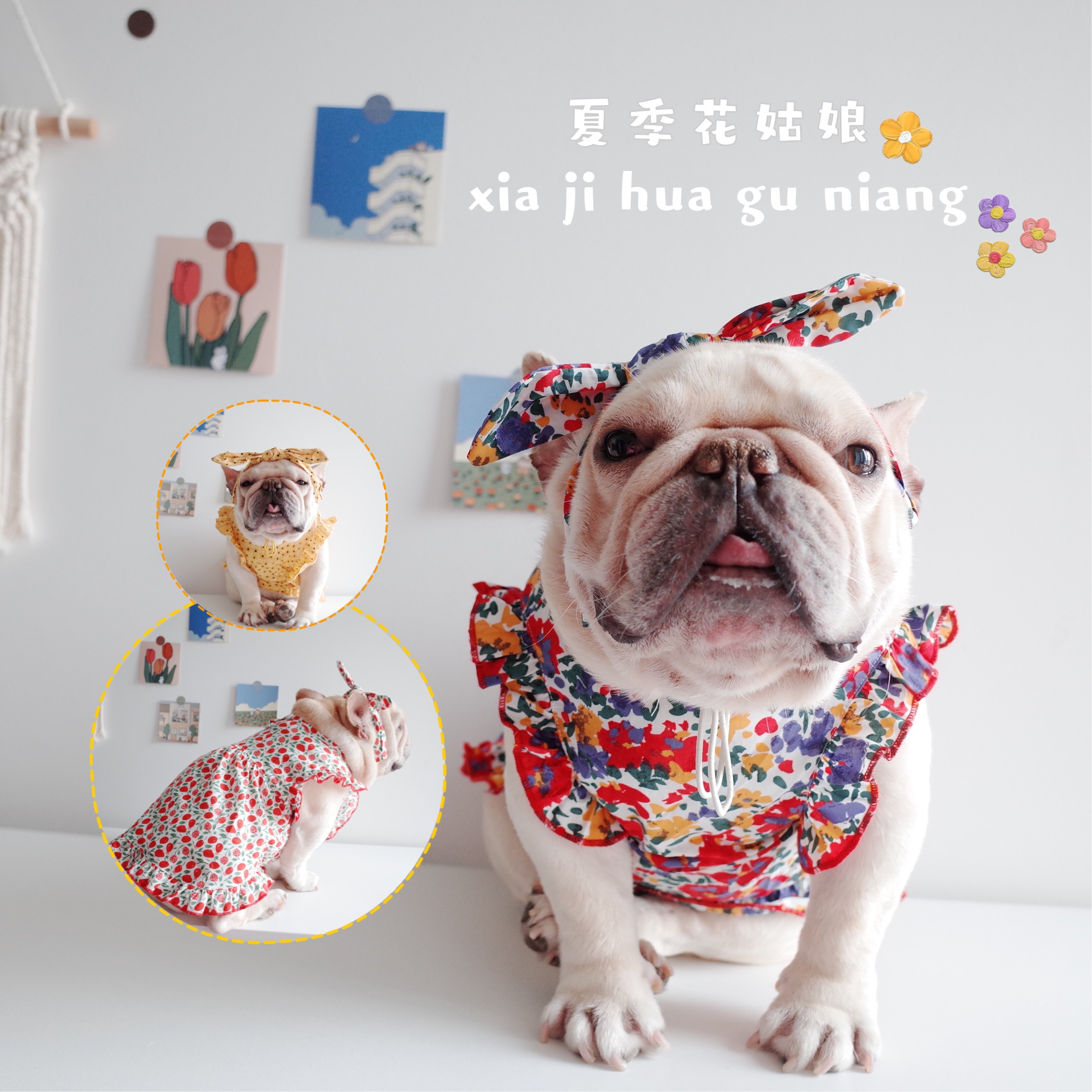 宠物夏季碎花裙 薄款连衣裙套装 法斗雪纳瑞可衣服 狗荷叶边裙子,宠物/宠物食品及用品,猫宠物服装/雨衣（新）,淘宝优惠券,粉丝福利购,淘宝优惠卷