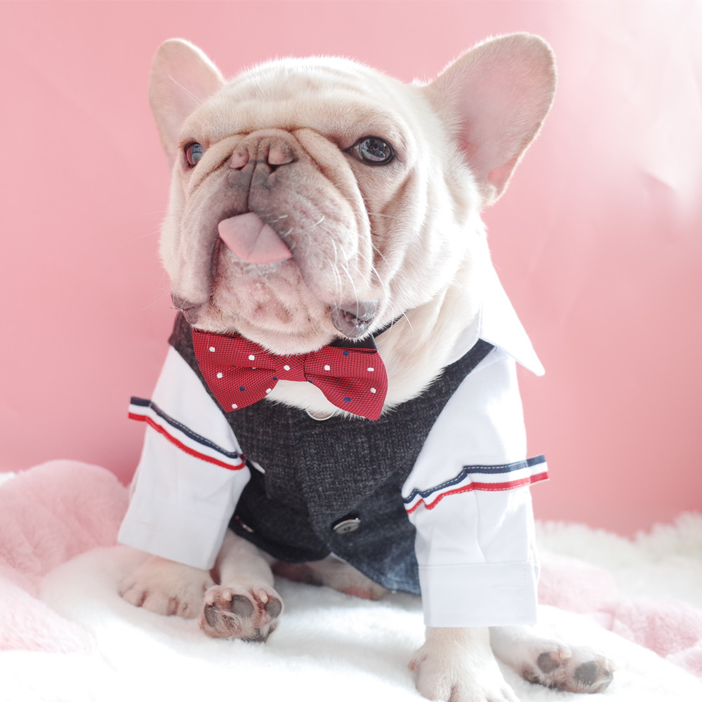 宠物领结 狗狗领结 西装衬衫领结 蝴蝶结 法斗 雪纳瑞领结 柯基
