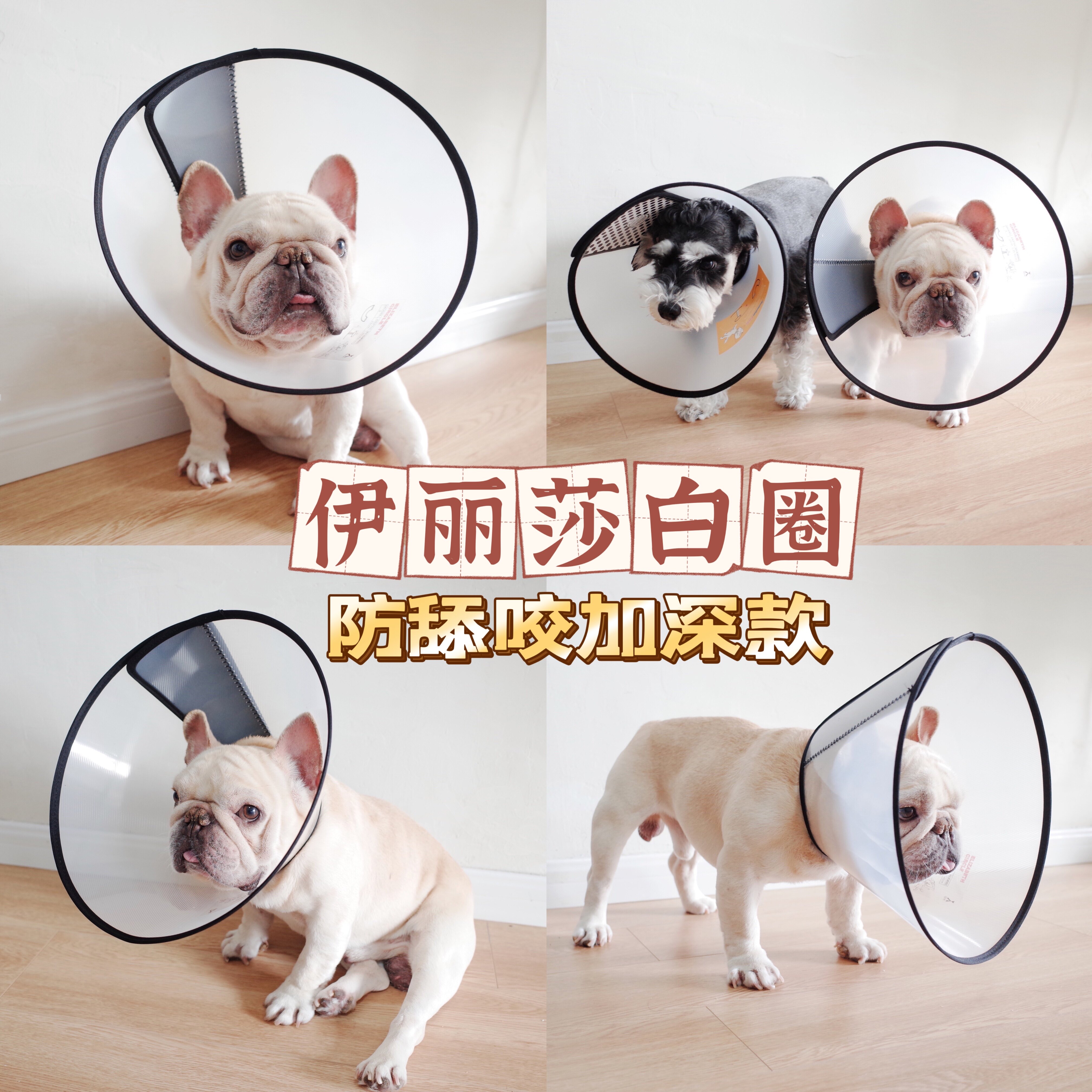 宠物伊丽莎白圈加长术后半透明