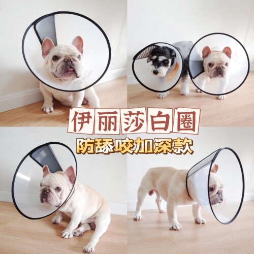 宠物伊丽莎白圈加长术后半透明