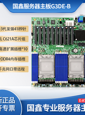 全新Gooxi国鑫G3DE-B双路服务器主板C621A芯片组 3代至强LGA-4189