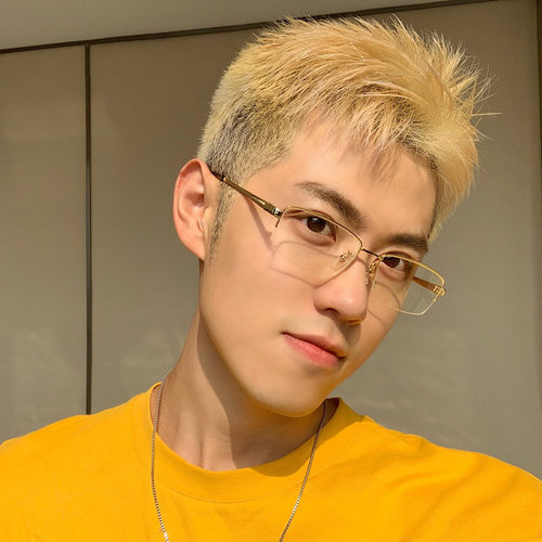金丝小脸半框网红ins女男眼镜架