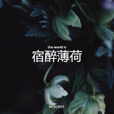 NI.SCENT新品天然提神薄荷香包