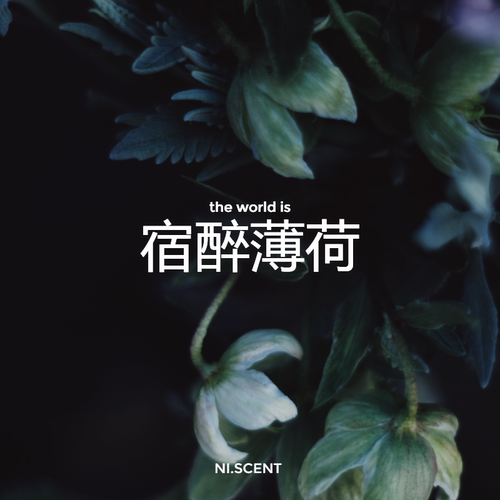 NI.SCENT新品天然提神薄荷香包
