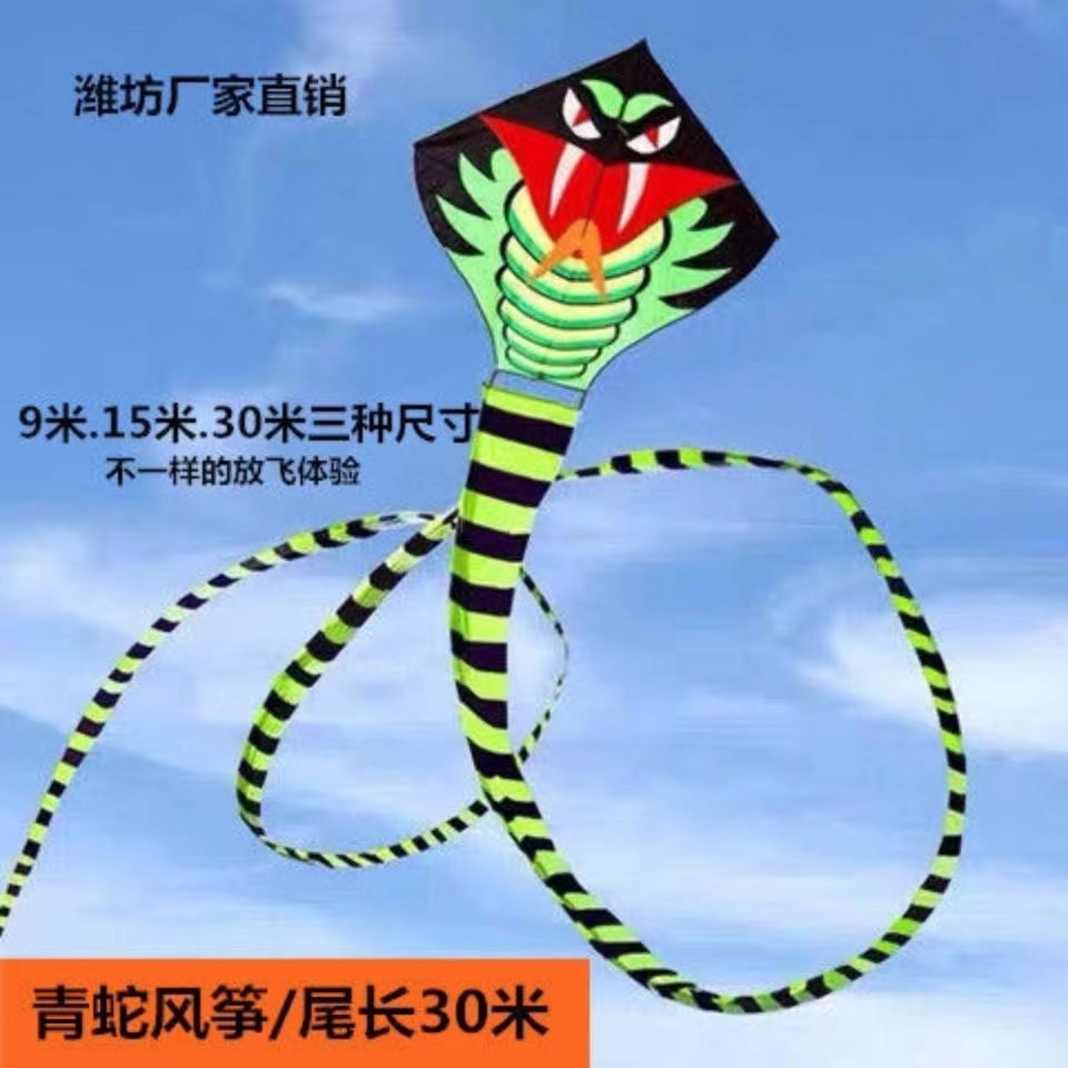 潍坊新款大蛇风筝长尾成人儿童型大青蛇风筝微风易飞不飞包退地摊