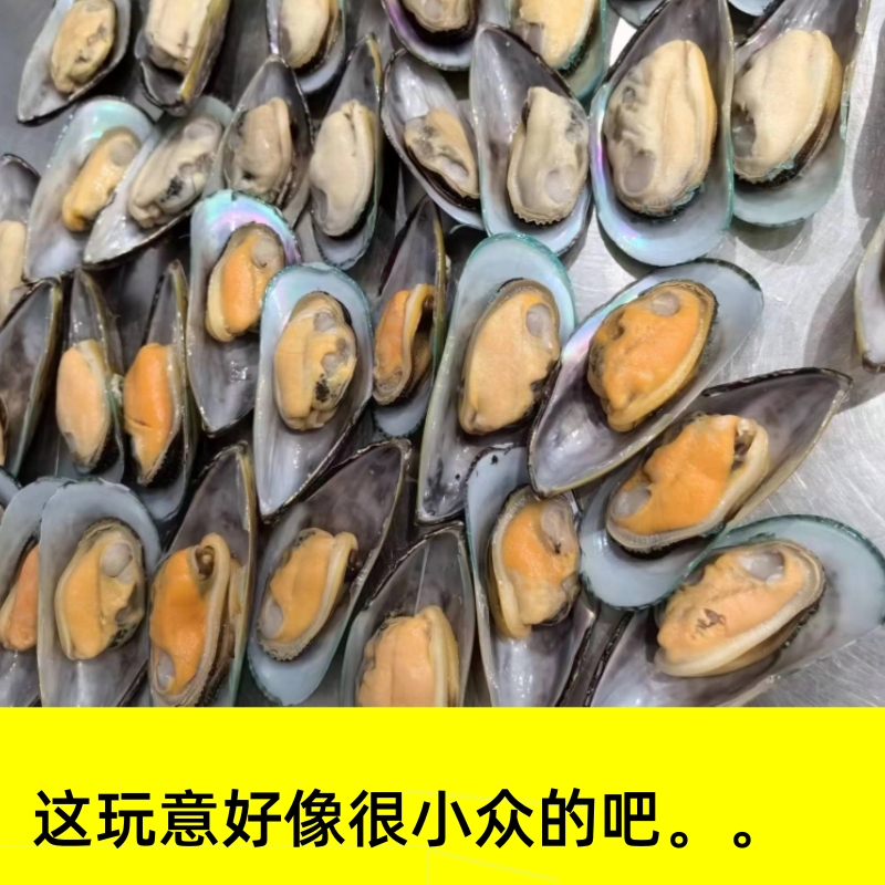新西兰原装半壳青口贝，绿唇贻贝
