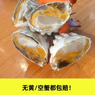 野生海捕蓝花蟹  远洋梭子蟹  小娘蟹冻蟹 无黄瘦蟹包赔 掉爪正常