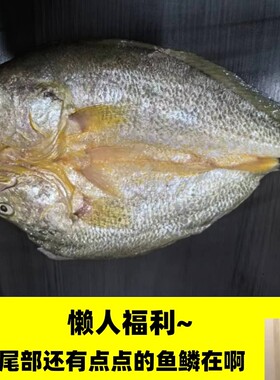 海鲜宁德福建特产醇香咸黄鱼