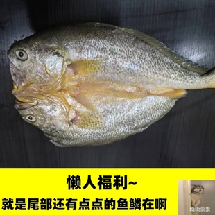 黄鱼鲞咸黄鱼黄鱼鲞宁德大黄鱼福建特产醇香黄花鱼，无抗生素残留