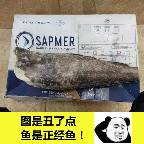 南极犬牙鱼价格 南极犬牙鱼图片 星期三