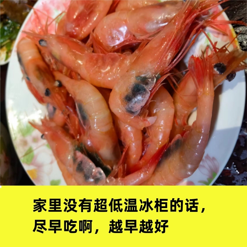 俄罗斯北极甜虾日料刺身