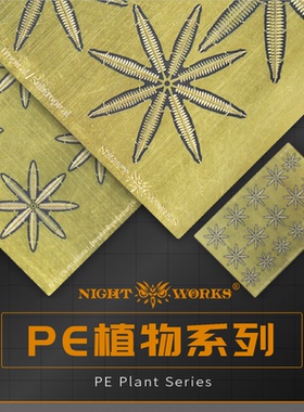 NightWorks 1/48/35/24 蜈蚣草 PE蚀刻片 蕨类