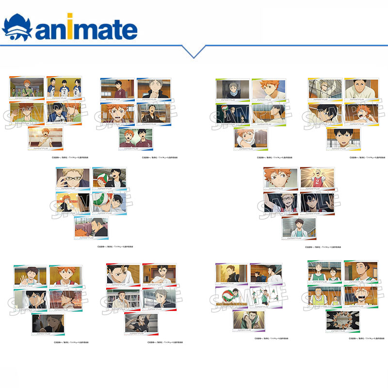 【现货】排球少年 动画版 明信片套装 animate正版授权官方日谷