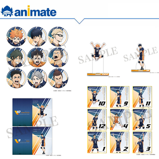 动画版 排球少年 POINT GET 日谷 animate官方授权正版 现货