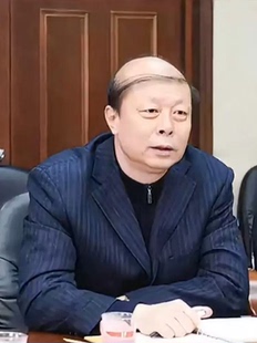 中年人最后的倔强一缕发丝同款假发套地中海秃头表演搞怪道具